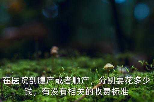 在醫(yī)院剖腹產或者順產，分別要花多少錢，有沒有相關的收費標準