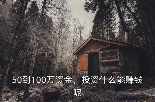 50到100萬資金，投資什么能賺錢呢