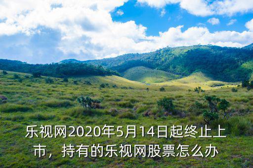 樂(lè)視網(wǎng)2020年5月14日起終止上市，持有的樂(lè)視網(wǎng)股票怎么辦