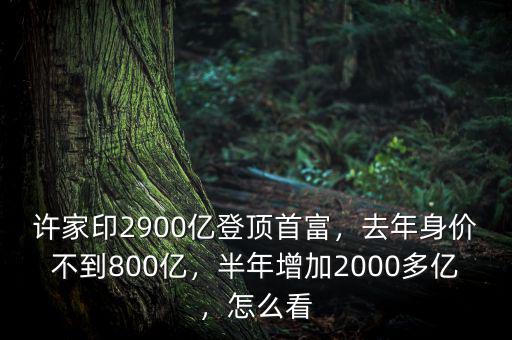 許家印2900億登頂首富，去年身價(jià)不到800億，半年增加2000多億，怎么看