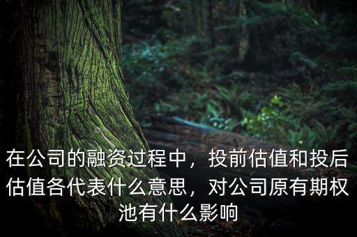 在公司的融資過程中，投前估值和投后估值各代表什么意思，對公司原有期權(quán)池有什么影響