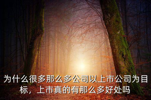 為什么很多那么多公司以上市公司為目標(biāo)，上市真的有那么多好處嗎
