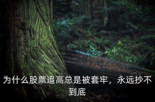 為什么股票追高總是被套牢，永遠(yuǎn)抄不到底
