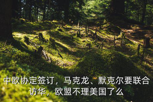 中歐協(xié)定簽訂，馬克龍、默克爾要聯(lián)合訪華，歐盟不理美國了么