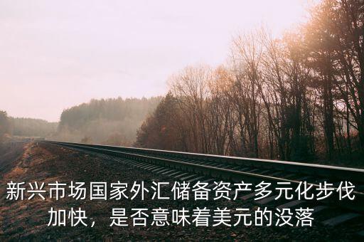 新興市場國家外匯儲備資產(chǎn)多元化步伐加快，是否意味著美元的沒落