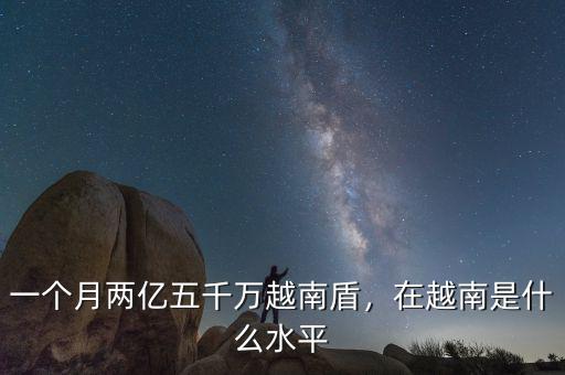 一個(gè)月兩億五千萬越南盾，在越南是什么水平