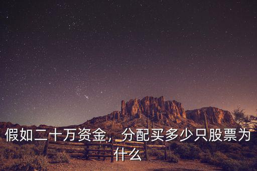假如二十萬資金，分配買多少只股票為什么