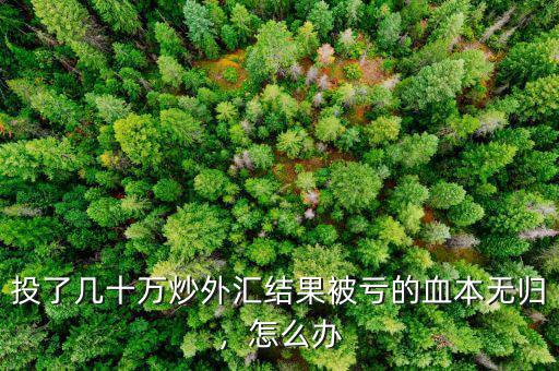 投了幾十萬炒外匯結(jié)果被虧的血本無歸，怎么辦