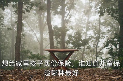 想給家里孩子買份保險(xiǎn)，誰(shuí)知道兒童保險(xiǎn)哪種最好