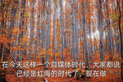 在今天這樣一個(gè)自媒體時(shí)代，大家都說(shuō)已經(jīng)是紅海的時(shí)代了，現(xiàn)在做