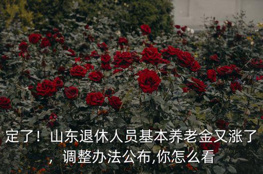 定了！山東退休人員基本養(yǎng)老金又漲了，調(diào)整辦法公布,你怎么看