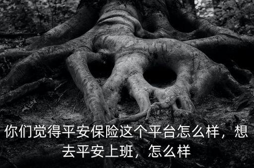 你們覺(jué)得平安保險(xiǎn)這個(gè)平臺(tái)怎么樣，想去平安上班，怎么樣