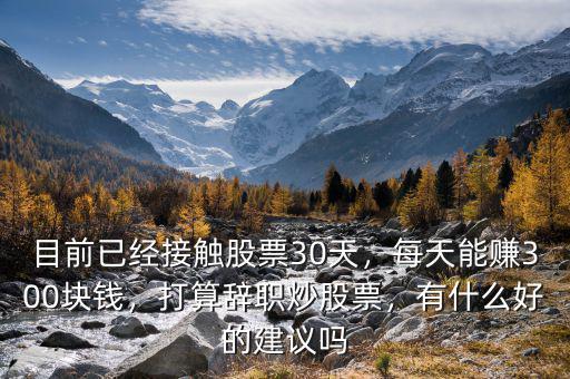 目前已經(jīng)接觸股票30天，每天能賺300塊錢，打算辭職炒股票，有什么好的建議嗎