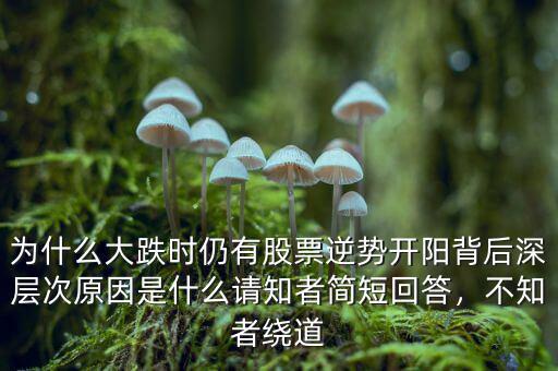 為什么大跌時仍有股票逆勢開陽背后深層次原因是什么請知者簡短回答，不知者繞道
