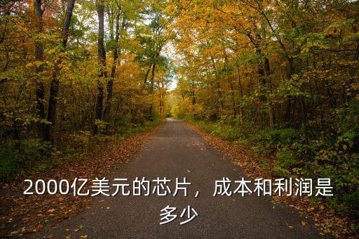 2000億美元的芯片，成本和利潤是多少