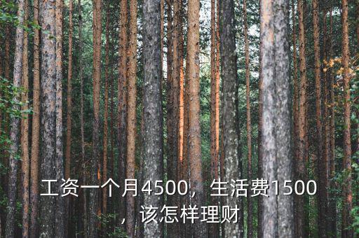 工資一個(gè)月4500，生活費(fèi)1500，該怎樣理財(cái)