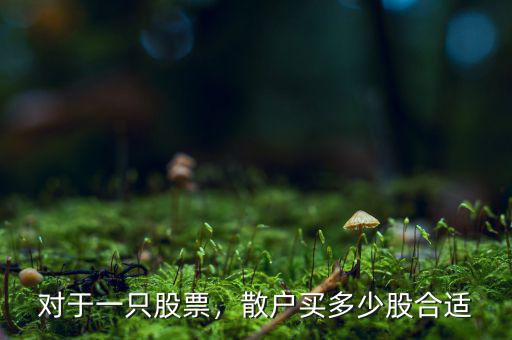 對于一只股票，散戶買多少股合適