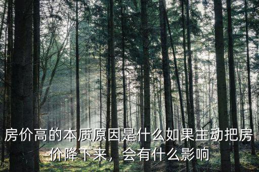 房價高的本質(zhì)原因是什么如果主動把房價降下來，會有什么影響