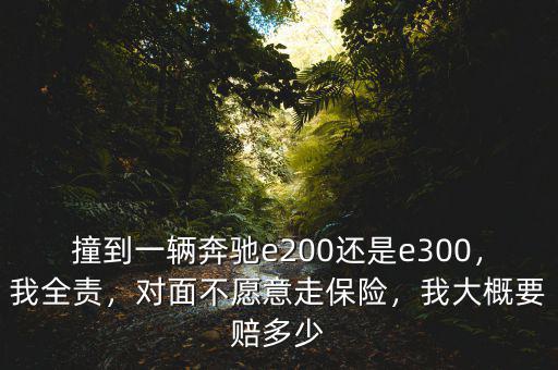 撞到一輛奔馳e200還是e300，我全責(zé)，對面不愿意走保險，我大概要賠多少