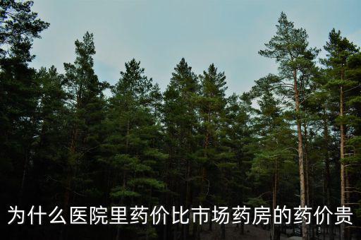 為什么醫(yī)院里藥價(jià)比市場藥房的藥價(jià)貴