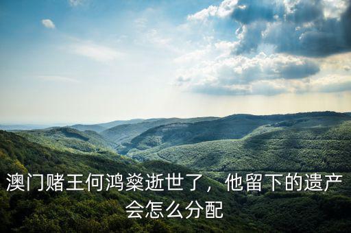 澳門(mén)賭王何鴻燊逝世了，他留下的遺產(chǎn)會(huì)怎么分配