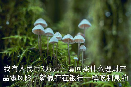 我有人民幣3萬元，請問買什么理財產(chǎn)品零風險，就像存在銀行一樣吃利息的