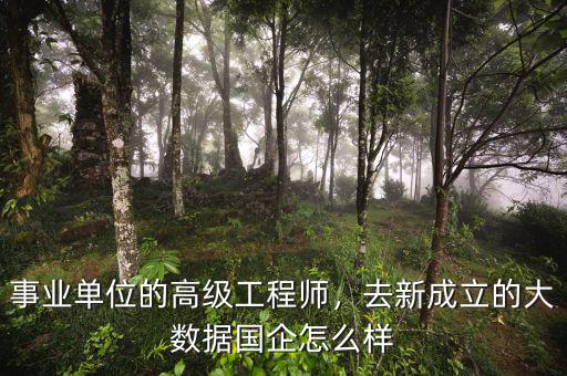 事業(yè)單位的高級工程師，去新成立的大數(shù)據國企怎么樣