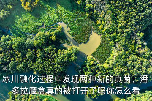 冰川融化過程中發(fā)現(xiàn)兩種新的真菌，潘多拉魔盒真的被打開了嗎你怎么看