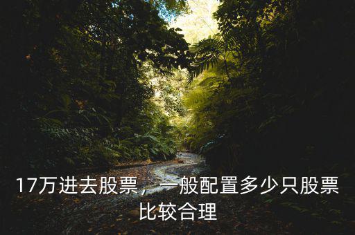 17萬進去股票，一般配置多少只股票比較合理
