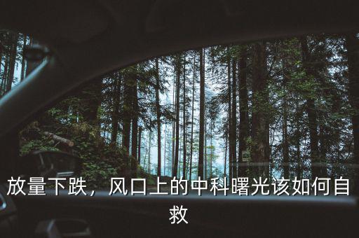放量下跌，風(fēng)口上的中科曙光該如何自救