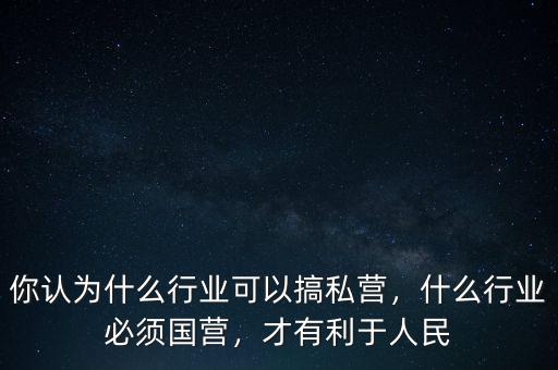 你認(rèn)為什么行業(yè)可以搞私營，什么行業(yè)必須國營，才有利于人民