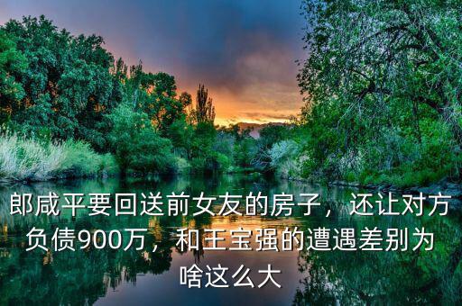 郎咸平要回送前女友的房子，還讓對方負(fù)債900萬，和王寶強的遭遇差別為啥這么大