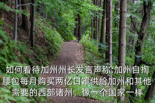 如何看待加州州長發(fā)言聲稱:加州自掏腰包每月購買兩億口罩供給加州和其他需要的西部諸州，像一個國家一樣
