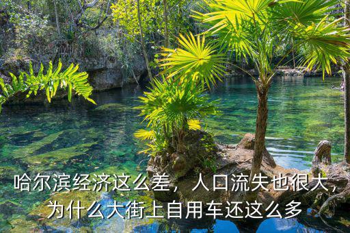 哈爾濱經(jīng)濟(jì)這么差，人口流失也很大，為什么大街上自用車還這么多