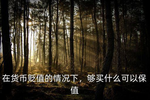 在貨幣貶值的情況下，夠買什么可以保值