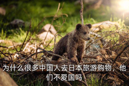 為什么很多中國人去日本旅游購物，他們不愛國嗎