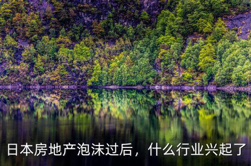 日本房地產(chǎn)泡沫過后，什么行業(yè)興起了
