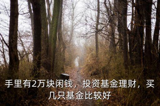 手里有2萬塊閑錢，投資基金理財，買幾只基金比較好