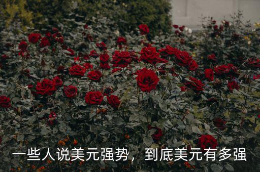 一些人說(shuō)美元強(qiáng)勢(shì)，到底美元有多強(qiáng)