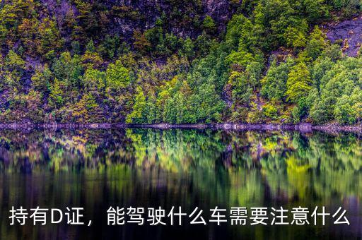 持有D證，能駕駛什么車需要注意什么