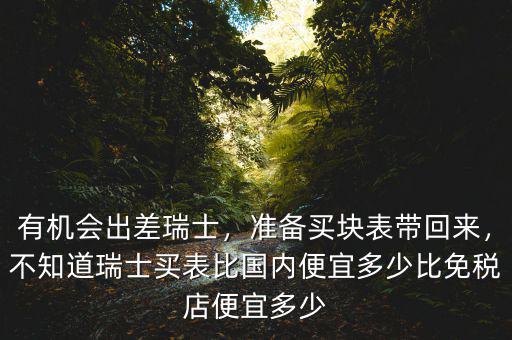 有機(jī)會(huì)出差瑞士，準(zhǔn)備買塊表帶回來，不知道瑞士買表比國內(nèi)便宜多少比免稅店便宜多少