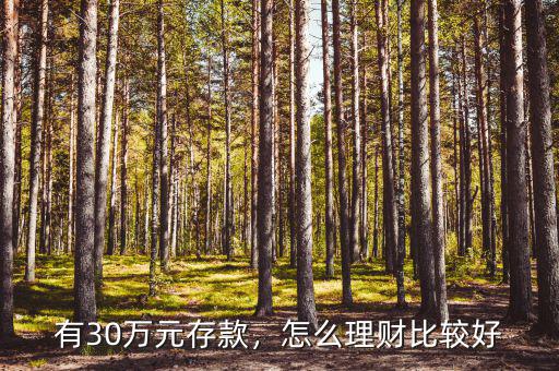 有30萬元存款，怎么理財比較好