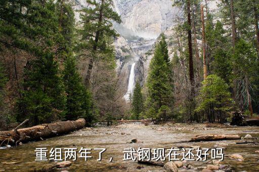 重組兩年了，武鋼現在還好嗎