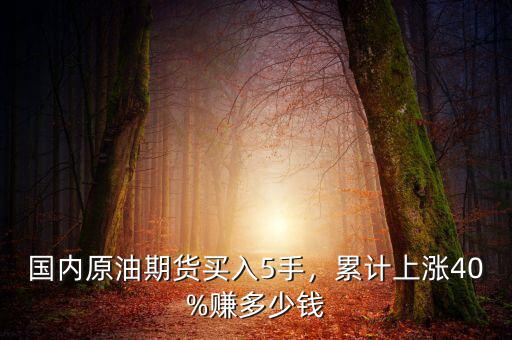 國內(nèi)原油期貨買入5手，累計上漲40%賺多少錢