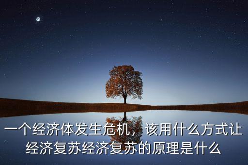 一個經濟體發(fā)生危機，該用什么方式讓經濟復蘇經濟復蘇的原理是什么