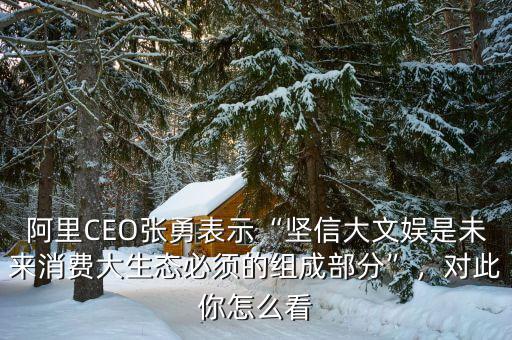 阿里CEO張勇表示“堅(jiān)信大文娛是未來消費(fèi)大生態(tài)必須的組成部分”，對此你怎么看