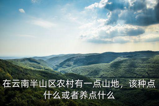 在云南半山區(qū)農(nóng)村有一點(diǎn)山地，該種點(diǎn)什么或者養(yǎng)點(diǎn)什么