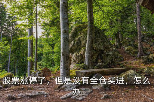 股票漲停了，但是沒(méi)有全倉(cāng)買進(jìn)，怎么辦