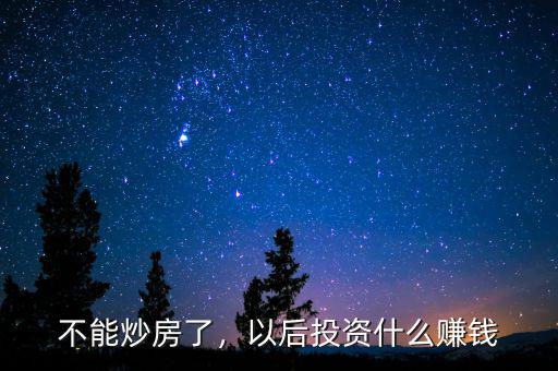 不能炒房了，以后投資什么賺錢