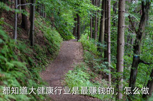 都知道大健康行業(yè)是最賺錢的，怎么做